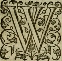 An illustration from A tracte containing the artes of curious paintinge, caruinge & buildinge (1598)