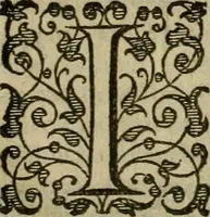 Picture 174 of 224 from A tracte containing the artes of curious paintinge, caruinge & buildinge (1598), leaf 306