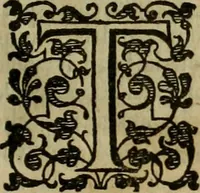 An illustration from A tracte containing the artes of curious paintinge, caruinge & buildinge (1598)
