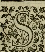 An illustration from A tracte containing the artes of curious paintinge, caruinge & buildinge (1598)