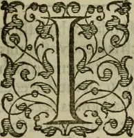 An illustration from A tracte containing the artes of curious paintinge, caruinge & buildinge (1598)