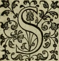 An illustration from A tracte containing the artes of curious paintinge, caruinge & buildinge (1598)