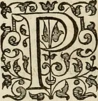 An illustration from A tracte containing the artes of curious paintinge, caruinge & buildinge (1598)