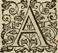 An illustration from A tracte containing the artes of curious paintinge, caruinge & buildinge (1598)