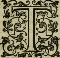 An illustration from A tracte containing the artes of curious paintinge, caruinge & buildinge (1598)