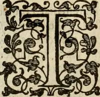 Picture 210 of 224 from A tracte containing the artes of curious paintinge, caruinge & buildinge (1598), leaf 355