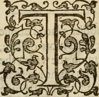 An illustration from A tracte containing the artes of curious paintinge, caruinge & buildinge (1598)