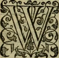 An illustration from A tracte containing the artes of curious paintinge, caruinge & buildinge (1598)