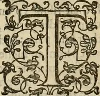 An illustration from A tracte containing the artes of curious paintinge, caruinge & buildinge (1598)