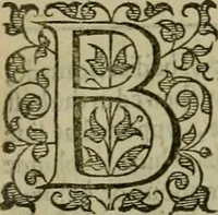An illustration from A tracte containing the artes of curious paintinge, caruinge & buildinge (1598)