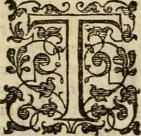 An illustration from A tracte containing the artes of curious paintinge, caruinge & buildinge (1598)