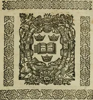 An illustration from A tracte containing the artes of curious paintinge, caruinge & buildinge (1598)