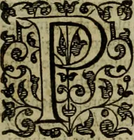 An illustration from A tracte containing the artes of curious paintinge, caruinge & buildinge (1598)