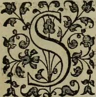 An illustration from A tracte containing the artes of curious paintinge, caruinge & buildinge (1598)