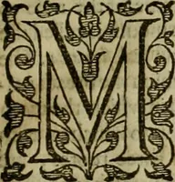 Picture 24 of 224 from A tracte containing the artes of curious paintinge, caruinge & buildinge (1598), leaf 56