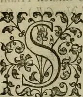 An illustration from A tracte containing the artes of curious paintinge, caruinge & buildinge (1598)