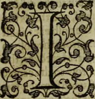 An illustration from A tracte containing the artes of curious paintinge, caruinge & buildinge (1598)