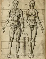 An illustration from A tracte containing the artes of curious paintinge, caruinge & buildinge (1598)
