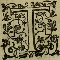 An illustration from A tracte containing the artes of curious paintinge, caruinge & buildinge (1598)