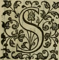 An illustration from A tracte containing the artes of curious paintinge, caruinge & buildinge (1598)