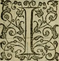 An illustration from A tracte containing the artes of curious paintinge, caruinge & buildinge (1598)