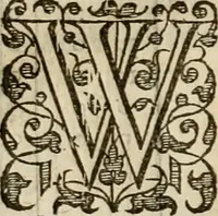 An illustration from A tracte containing the artes of curious paintinge, caruinge & buildinge (1598)
