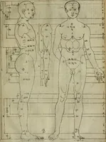 An illustration from A tracte containing the artes of curious paintinge, caruinge & buildinge (1598)