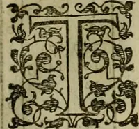 Picture 37 of 224 from A tracte containing the artes of curious paintinge, caruinge & buildinge (1598), leaf 76