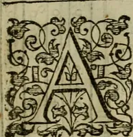 An illustration from A tracte containing the artes of curious paintinge, caruinge & buildinge (1598)
