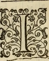 An illustration from A tracte containing the artes of curious paintinge, caruinge & buildinge (1598)