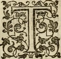 An illustration from A tracte containing the artes of curious paintinge, caruinge & buildinge (1598)