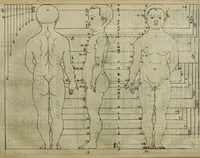 An illustration from A tracte containing the artes of curious paintinge, caruinge & buildinge (1598)