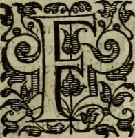 An illustration from A tracte containing the artes of curious paintinge, caruinge & buildinge (1598)