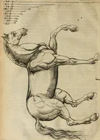 An illustration from A tracte containing the artes of curious paintinge, caruinge & buildinge (1598)