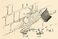 Picture 1 of 8 from The traditional games of England, Scotland, and Ireland : with tunes, singing-rhymes, and methods of playing according to the variants extant and recorded in different parts of the Kingdom (1894), leaf 43