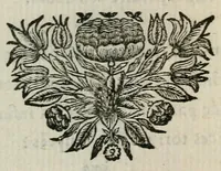An illustration from Traduction en vers françois des hymnes de monsieur de Santeul, chanoine regulier de S. Victor (1699)