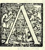 Picture 24 of 50 from Tragedie (1560), leaf 235