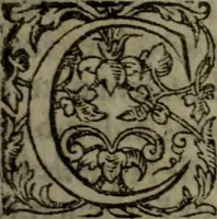 An illustration from Tragedie du roy Franc-arbitre : nouuellement traduite d'Italien en François (1558)