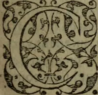 An illustration from Tragedie du roy Franc-arbitre : nouuellement traduite d'Italien en François (1558)