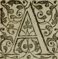 An illustration from Tragedie du roy Franc-arbitre : nouuellement traduite d'Italien en François (1558)