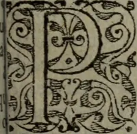 An illustration from Tragedie du roy Franc-arbitre : nouuellement traduite d'Italien en François (1558)