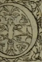 An illustration from Tragedie du roy Franc-arbitre : nouuellement traduite d'Italien en François (1558)