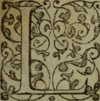 An illustration from Tragedie du roy Franc-arbitre : nouuellement traduite d'Italien en François (1558)