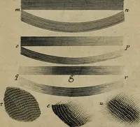 An illustration from Traicté des manieres de graver en taille dovce svr l'airin. Par le moyen des eaux fortes, & des vernix durs & mols. Ensemble de la façon d'en imprimer les planches & d'en construire la presse, & autres choses concernans lesdits arts (1645)
