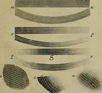 An illustration from Traicté des manieres de grauer en taille douce sur l'airin : par le moyen des eaux fortes, & des vernix durs & mols : ensemble de la façon d'en imprimer les planches & d'en construire la presse, & autres choses concernans lesdits arts (1645)