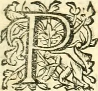 An illustration from Traicte du feu et du sel; excellent et rare opuscule .. (1642)