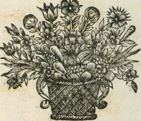 An illustration from Traicté povr la conservation de la santé, et svr la saignee de ce temps, et moyen de remedier aux maladies sans craincte de leur recheute : auec autres traictez necessaires pour toutes sortes de personnes, en façon & ordre non encores veus, & selon la doctrine des anciens medecins grecs, arabes, latins & françois : avgmenté d'vn Traicté de Galien, de l'alictement des malades : Apologie contre Iean Terud ... : Examen du liure intitulé Medecin charitable : Traicté de la physiognomie, auec les figures propres, qui sont au nombre de 53 ... (1650)