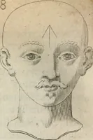 An illustration from Traicté povr la conservation de la santé, et svr la saignee de ce temps, et moyen de remedier aux maladies sans craincte de leur recheute : auec autres traictez necessaires pour toutes sortes de personnes, en façon & ordre non encores veus, & selon la doctrine des anciens medecins grecs, arabes, latins & françois : avgmenté d'vn Traicté de Galien, de l'alictement des malades : Apologie contre Iean Terud ... : Examen du liure intitulé Medecin charitable : Traicté de la physiognomie, auec les figures propres, qui sont au nombre de 53 ... (1650)
