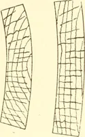 An illustration from Training in wood-work, designed for use in manual training and technical school; consisting of three parts: carpentry, wood-turning and pattern work (1902)