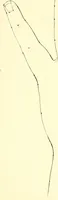 An illustration from Traité complet de la peinture (1829)